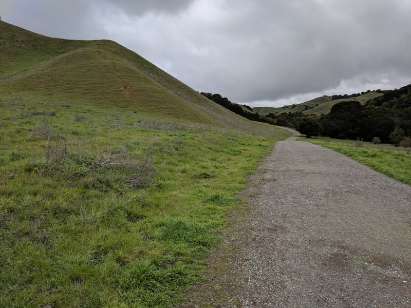 Green hills rising from the trail
