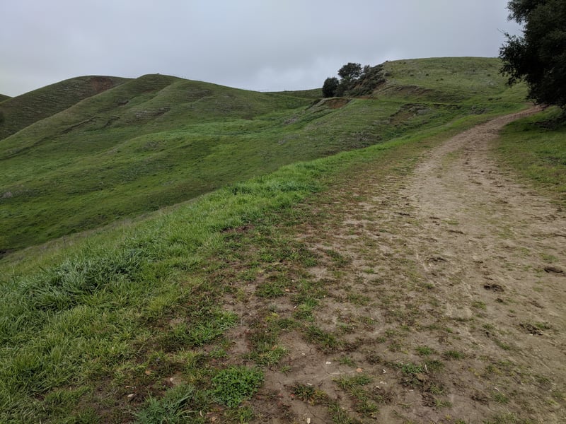 Climbing toward the crest