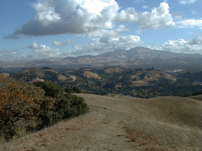 View to Mount Diablo