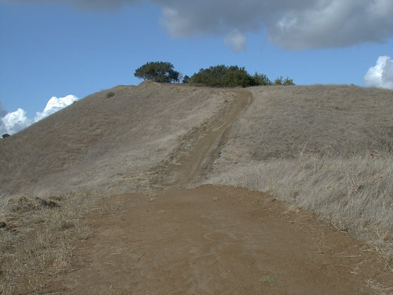 Grassland