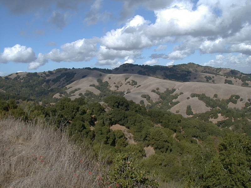 Briones view