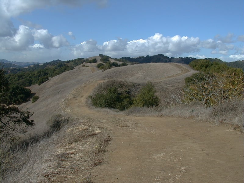 Briones ridgeline