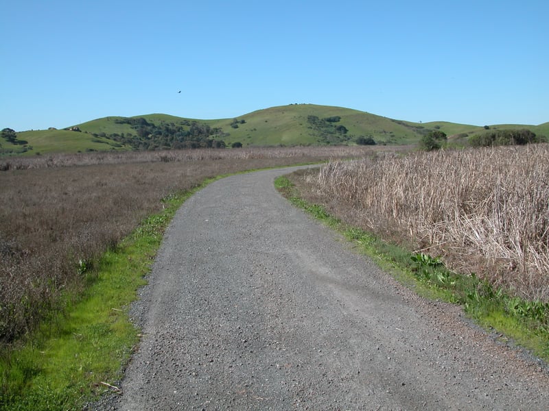 Hills