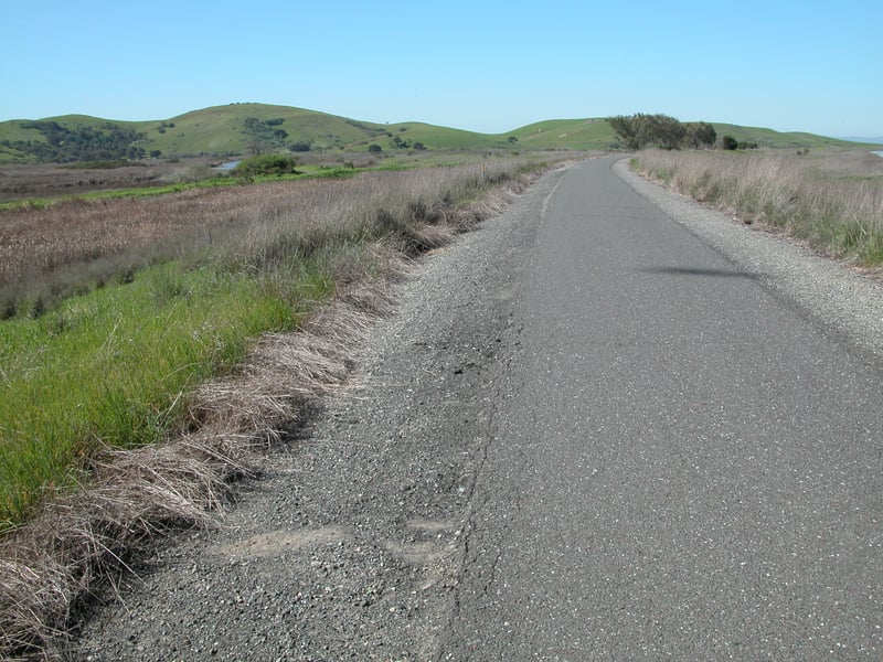 View west
