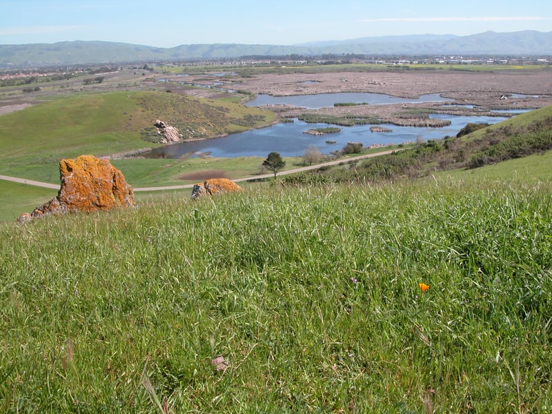 View to the marsh