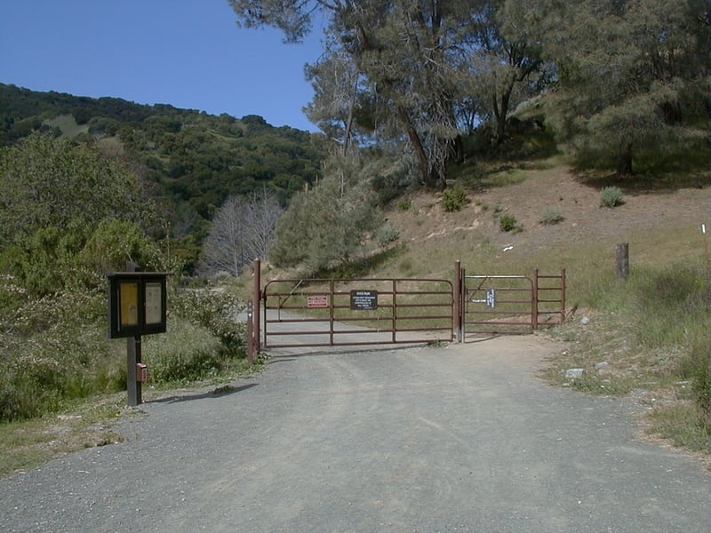 Gate