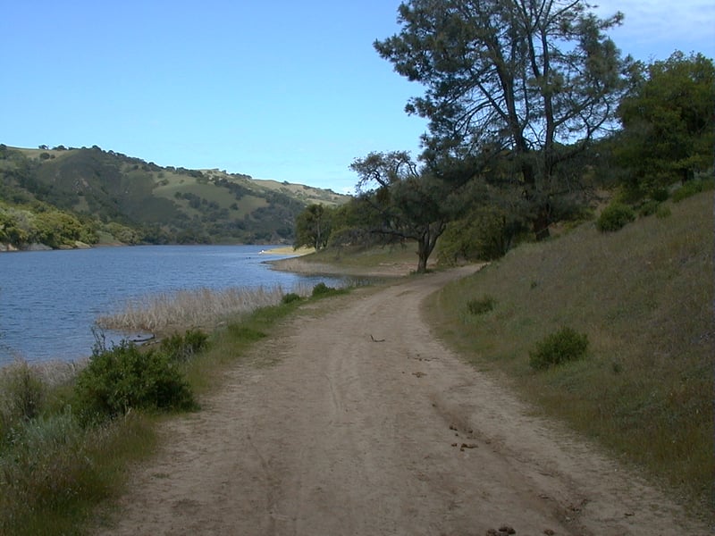Along the shoreline