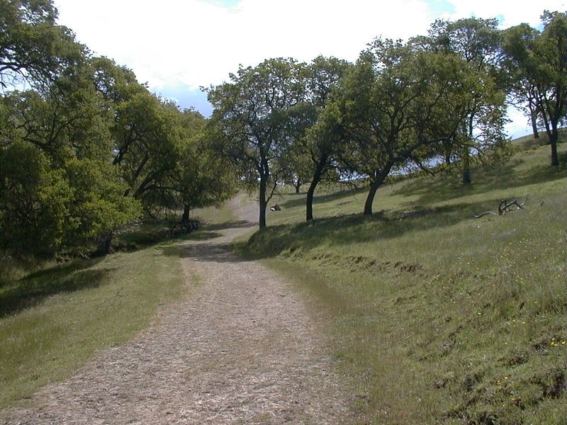 Climbing
