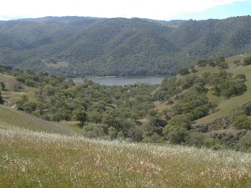 View downhill to the water
