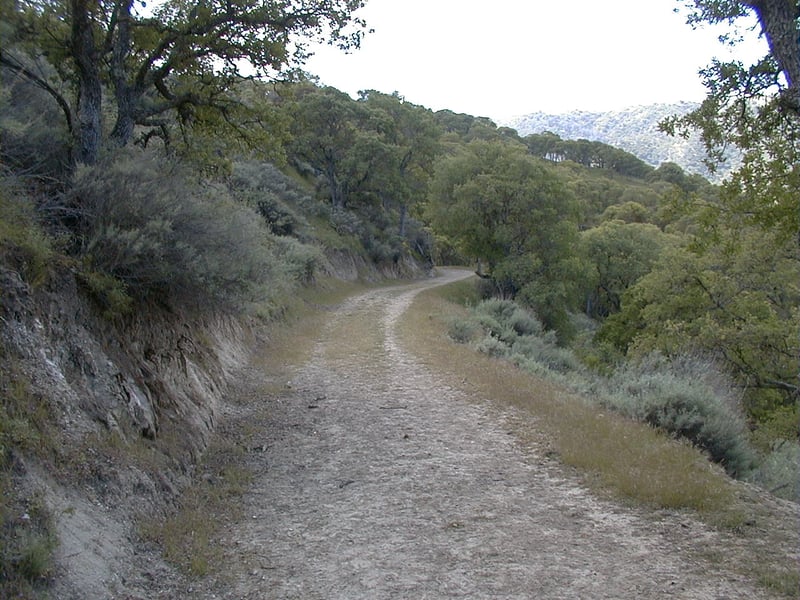 Descending