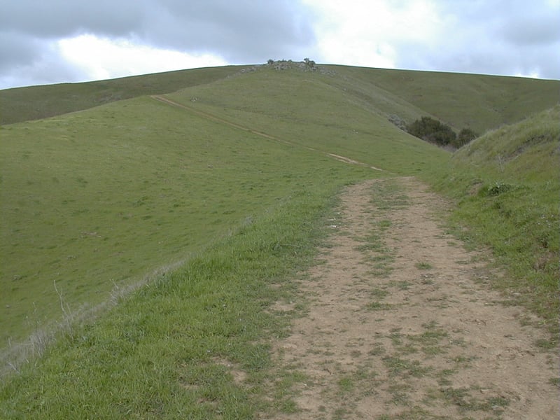 Near ridgeline