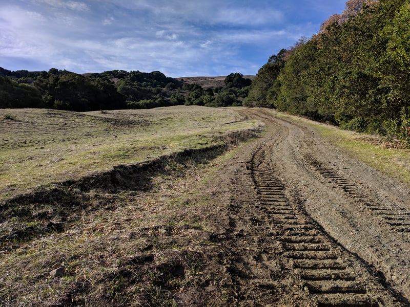 Weaving through grassland