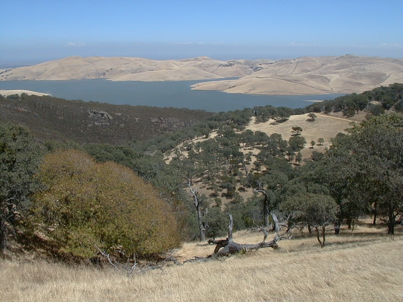 View to reservoir