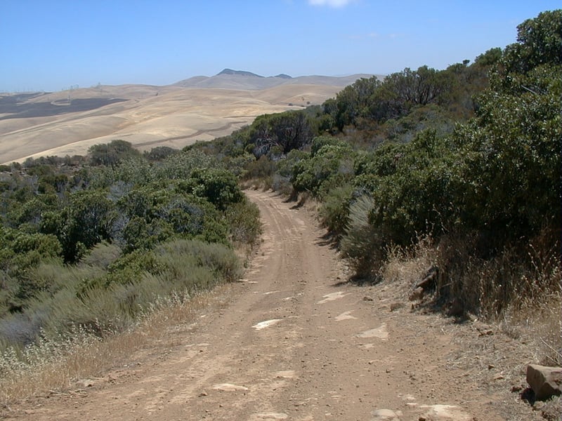 Descending