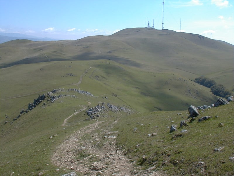 View south