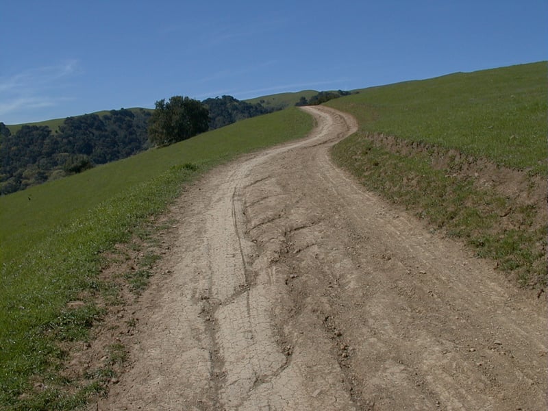 Climbing through grassland