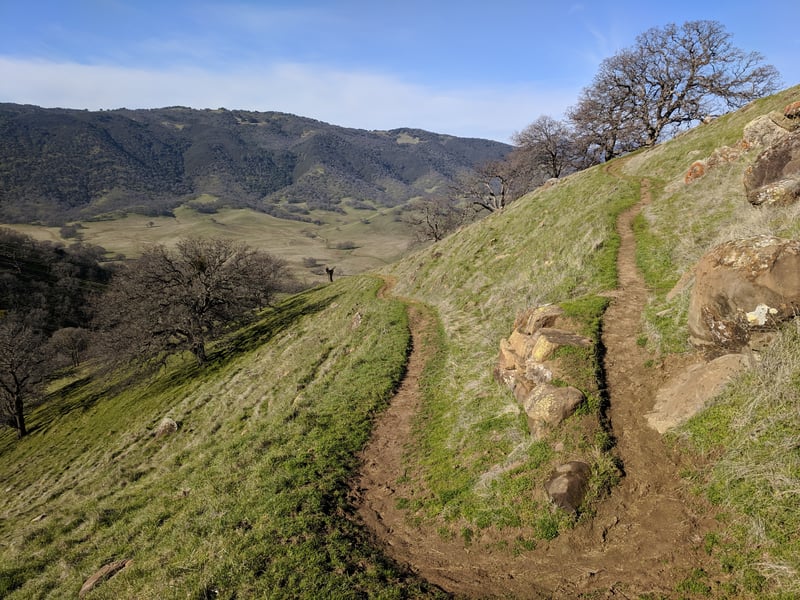 Switchback