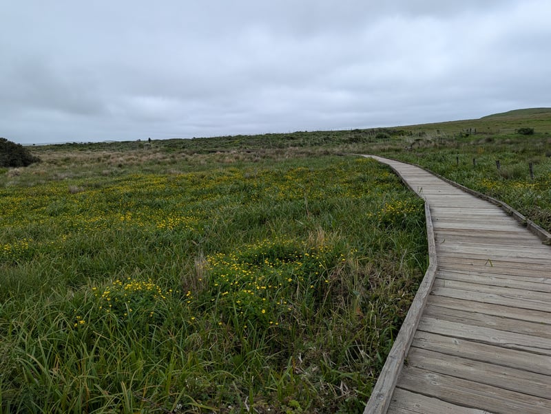 Boardwalk