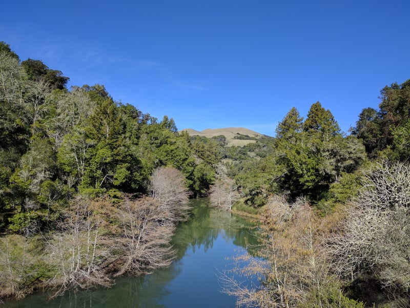 View across the lake to Bald Hill