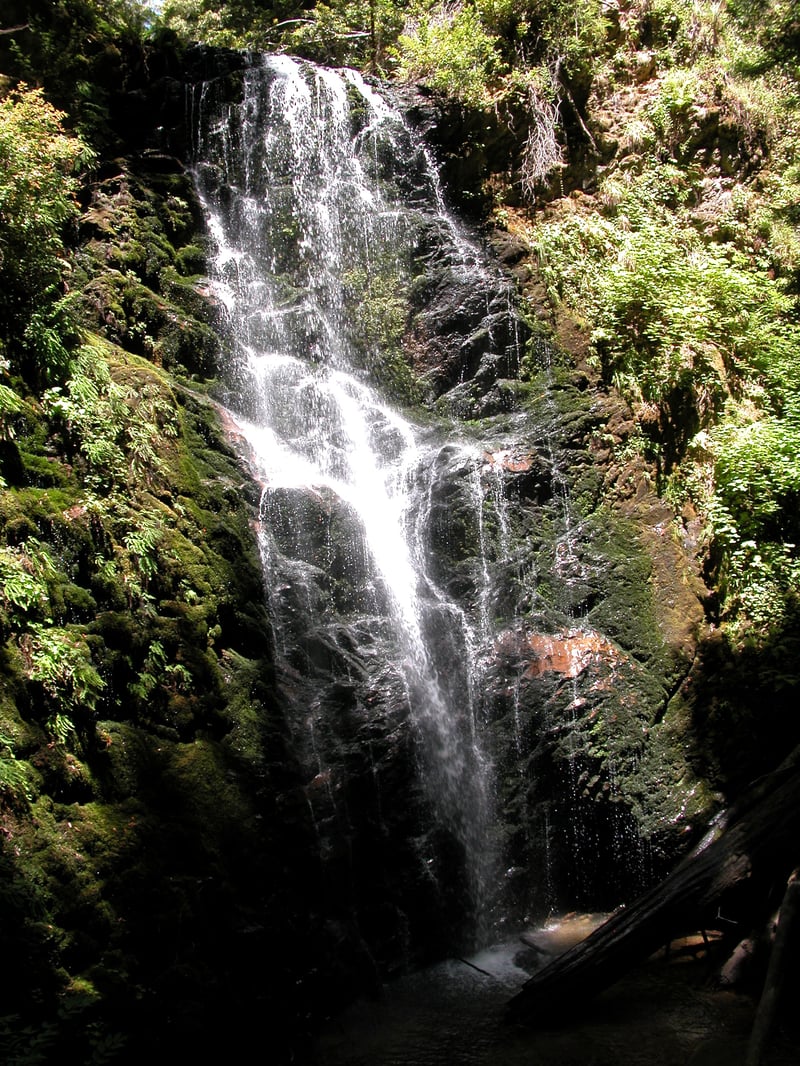Berry Creek Falls