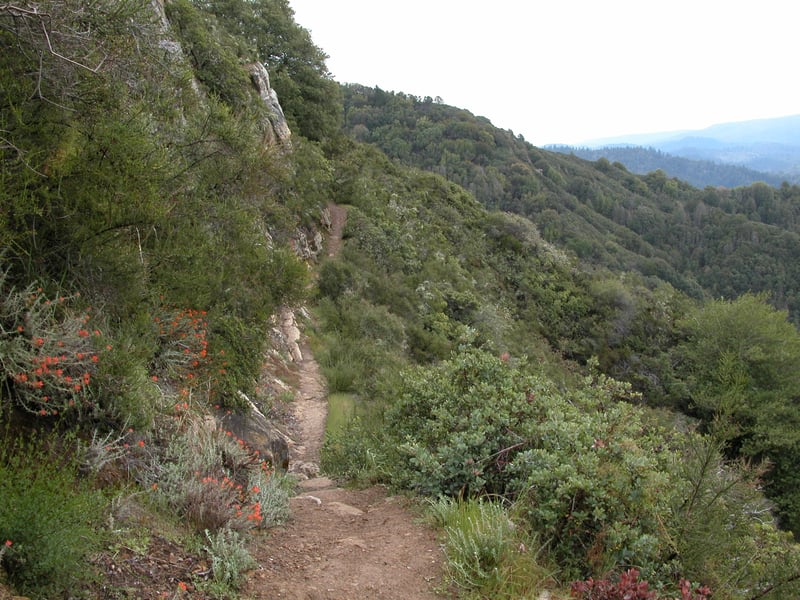 Clinging to the hillside