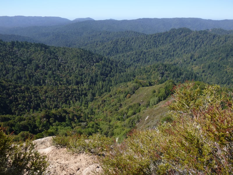 View toward Big Basin