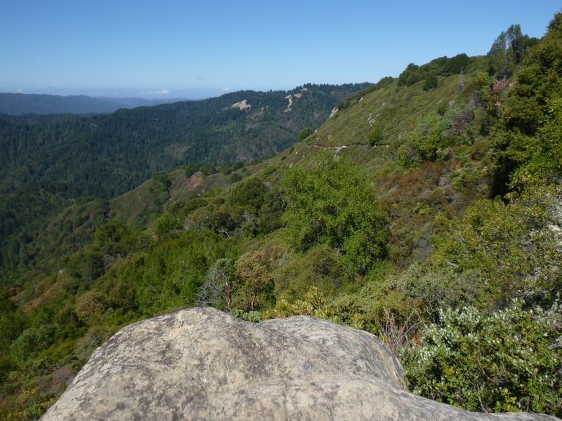 View back to the north