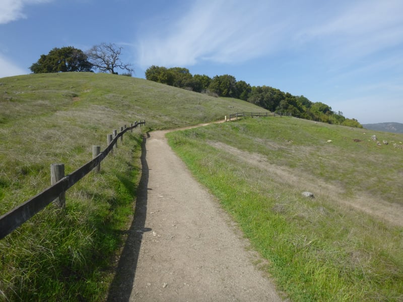 Serpentine grassland