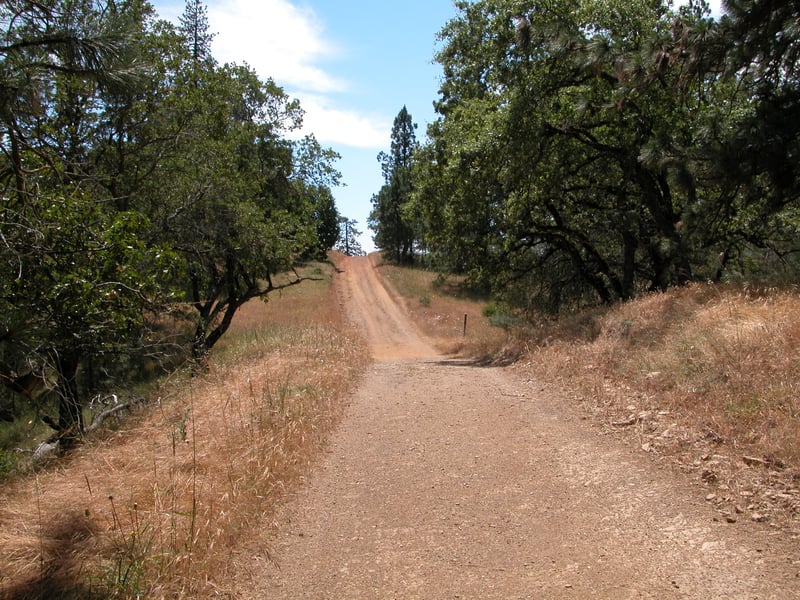 Climbing the hill