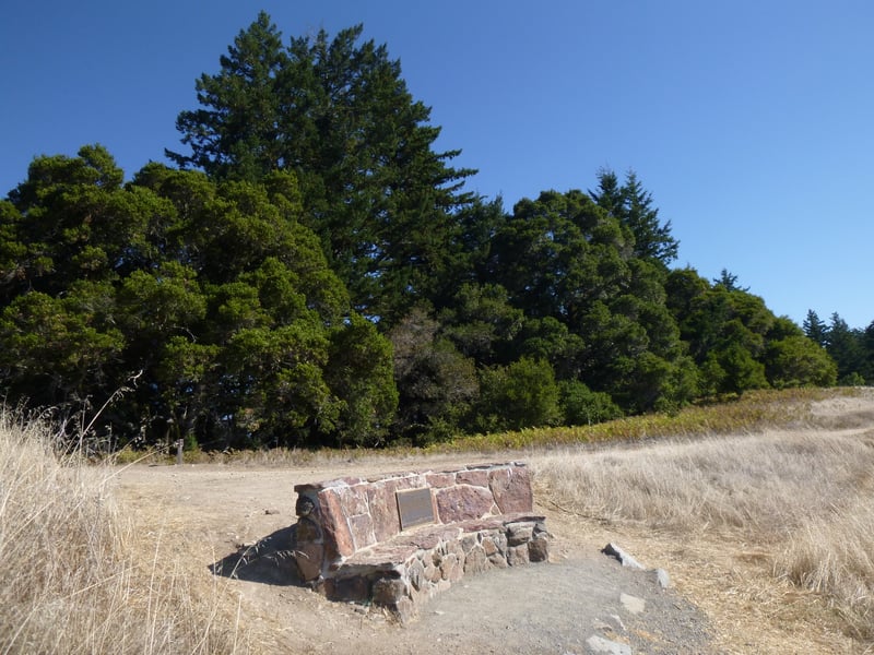 Wallace Stegner Bench