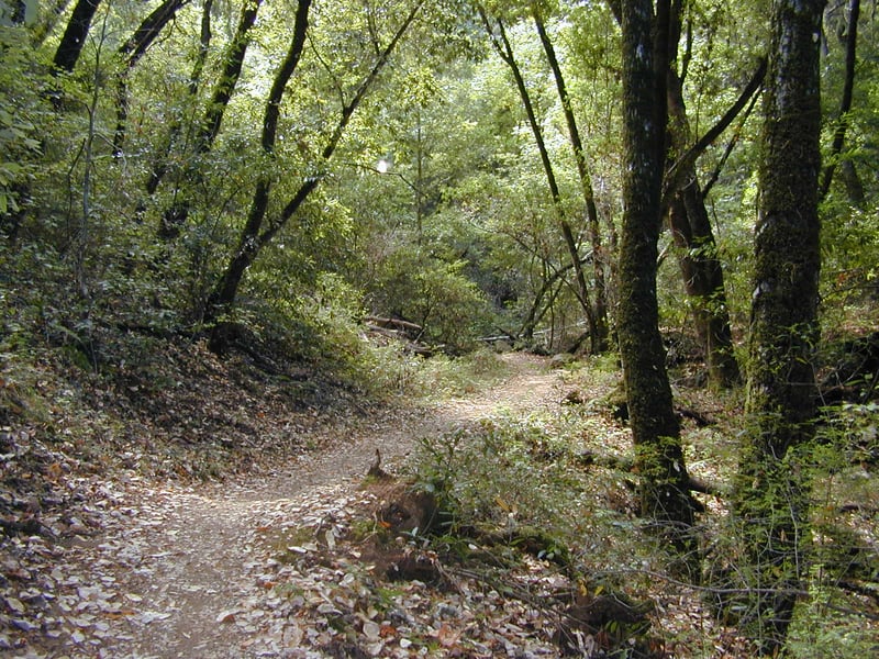 Quiet part of the preserve