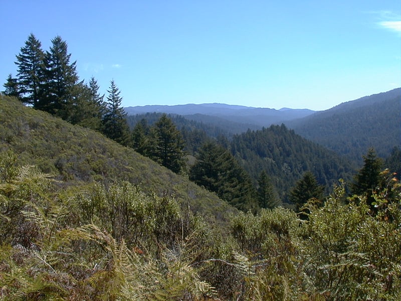 View south