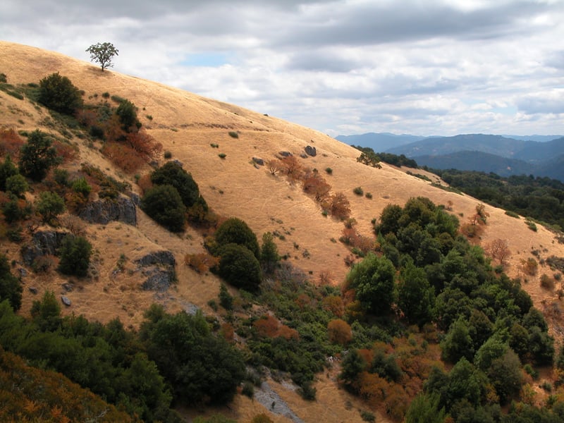 Black Mountain hillside