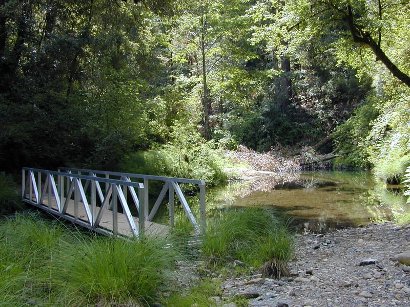 Crossing Pescadero Creek