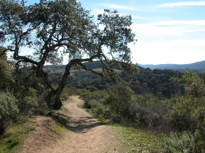 Heading downhill