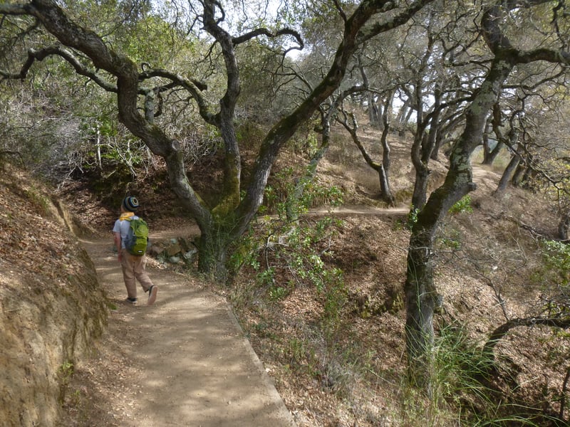 Young hiker on the path