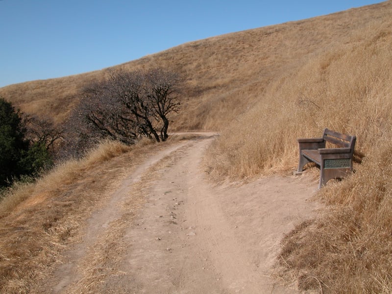 Bench along the trail