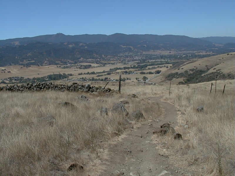 Old stone fence