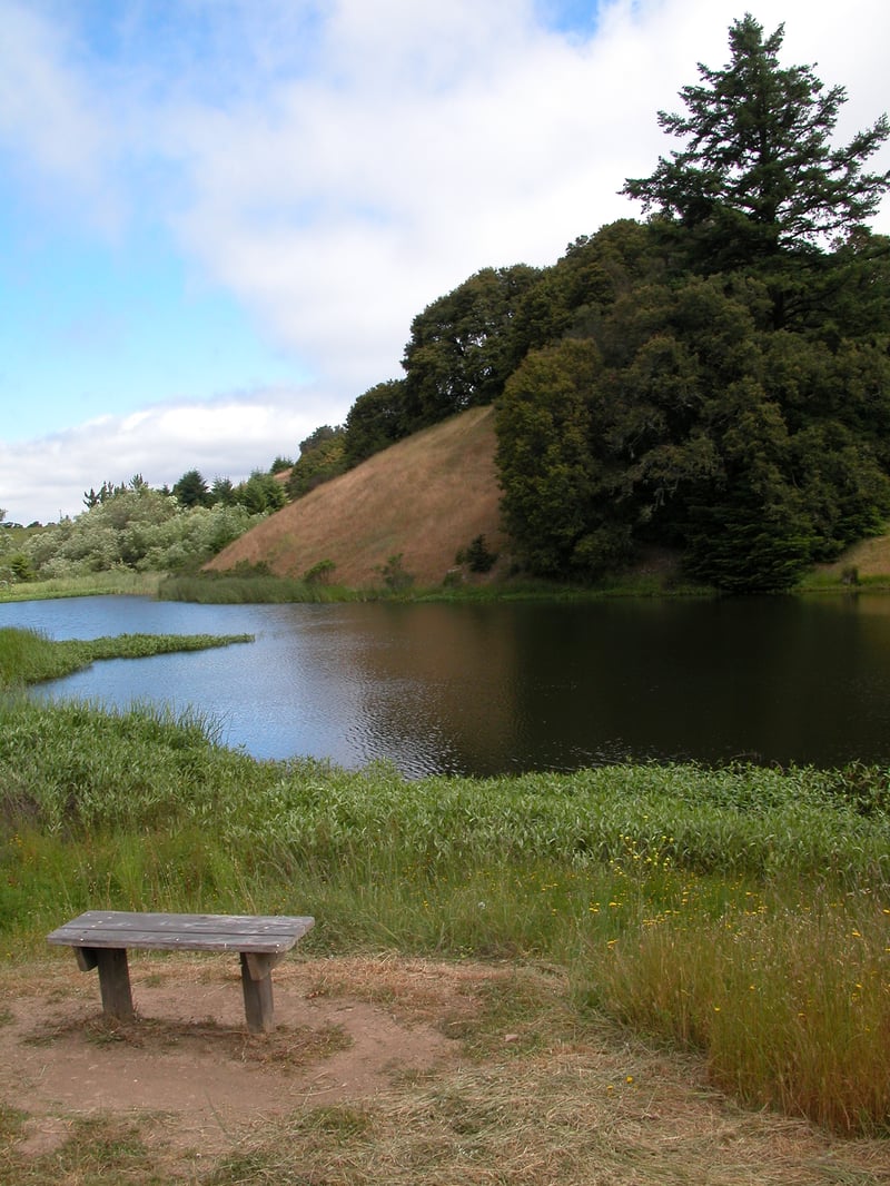 Horseshoe Lake