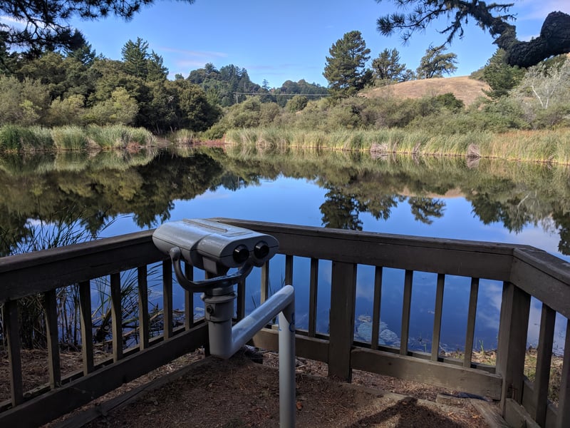 Viewing station
