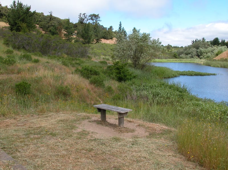 Horseshoe Lake