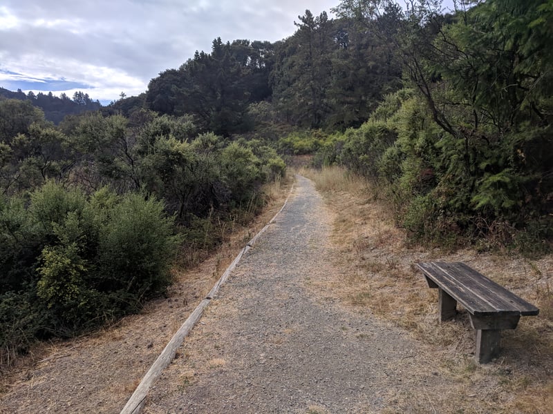 All access path