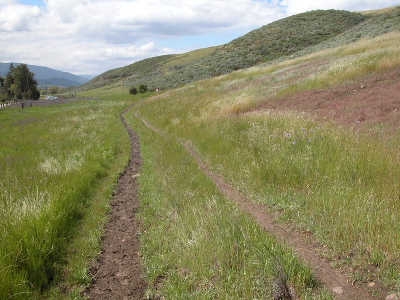 Near the trailhead