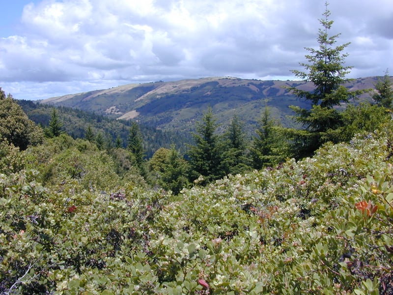 View east to Black Mountain