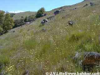 Tidytips photo